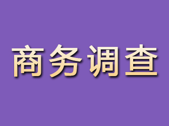 雅江商务调查